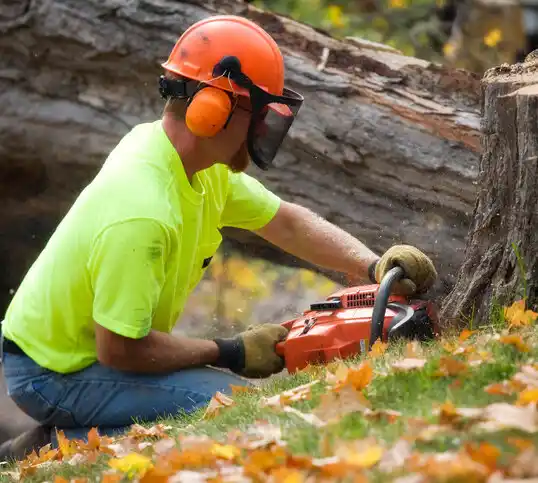 tree services Ellendale